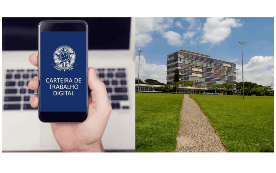 O Dilema dos Universitários: os desafios de conciliar emprego e estudos
