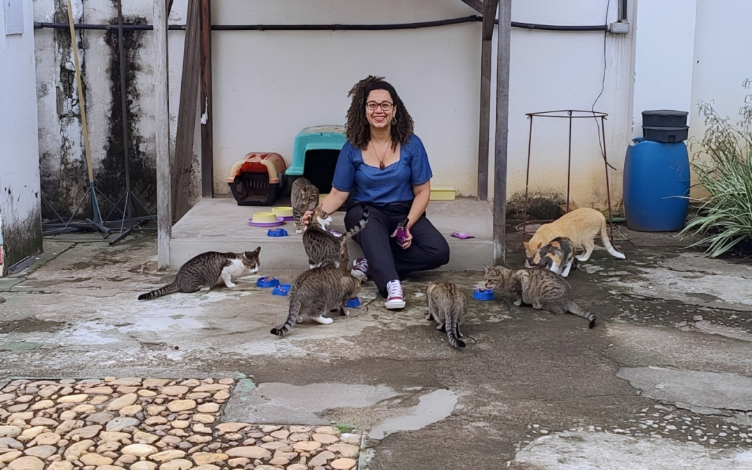 As sete vidas dos gatos do campus: Os felinos comunitários da UFMG e quem cuida deles