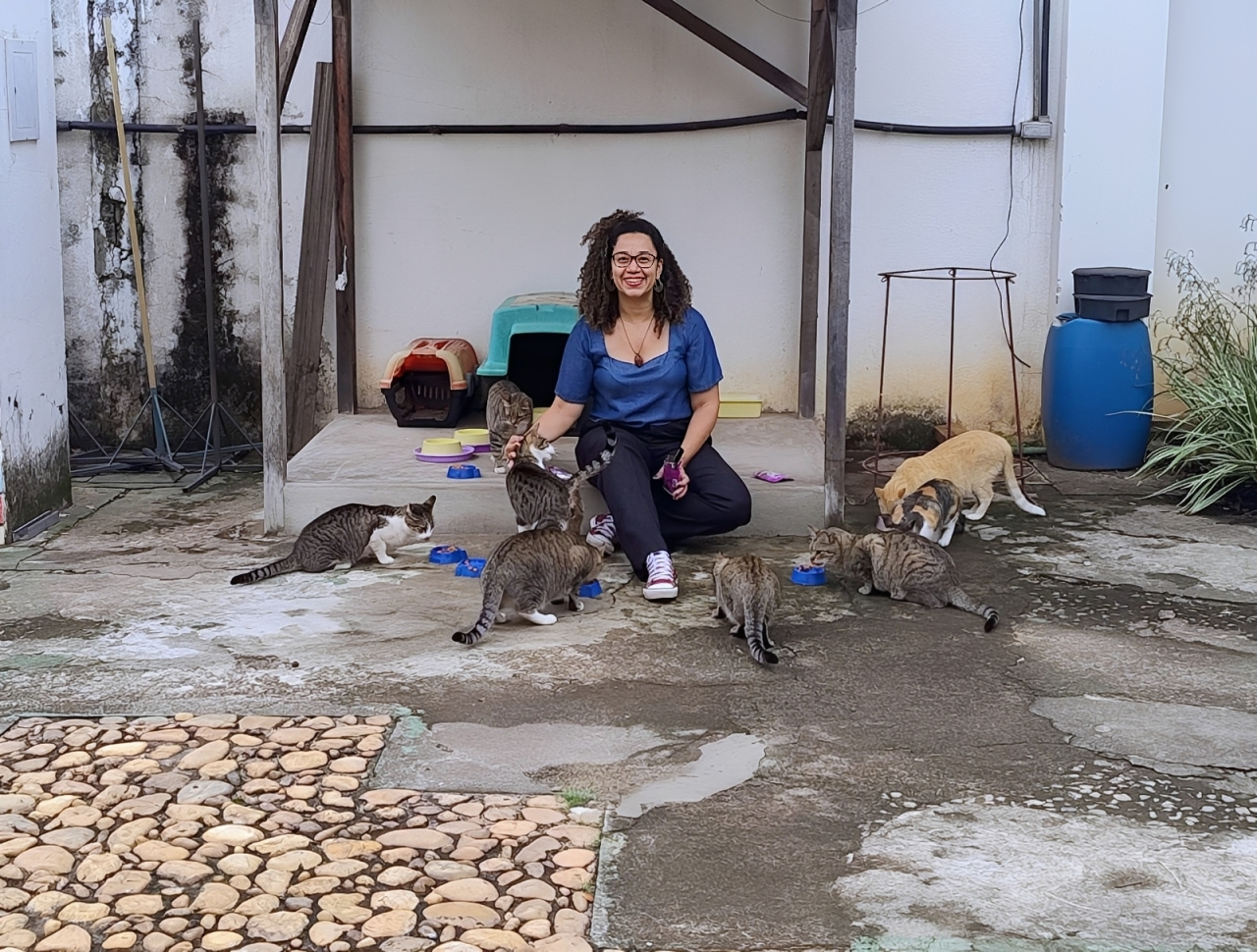 As sete vidas dos gatos do campus: Os felinos comunitários da UFMG e quem cuida deles