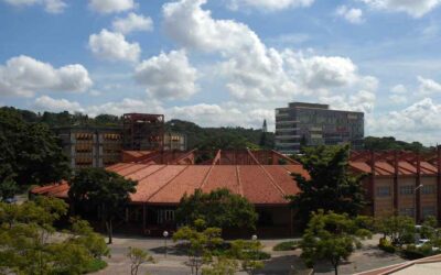 Manual do estágio na UFMG